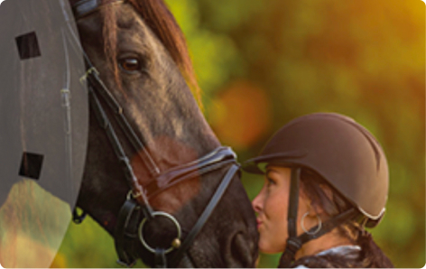 Equine Code of Practice 2021